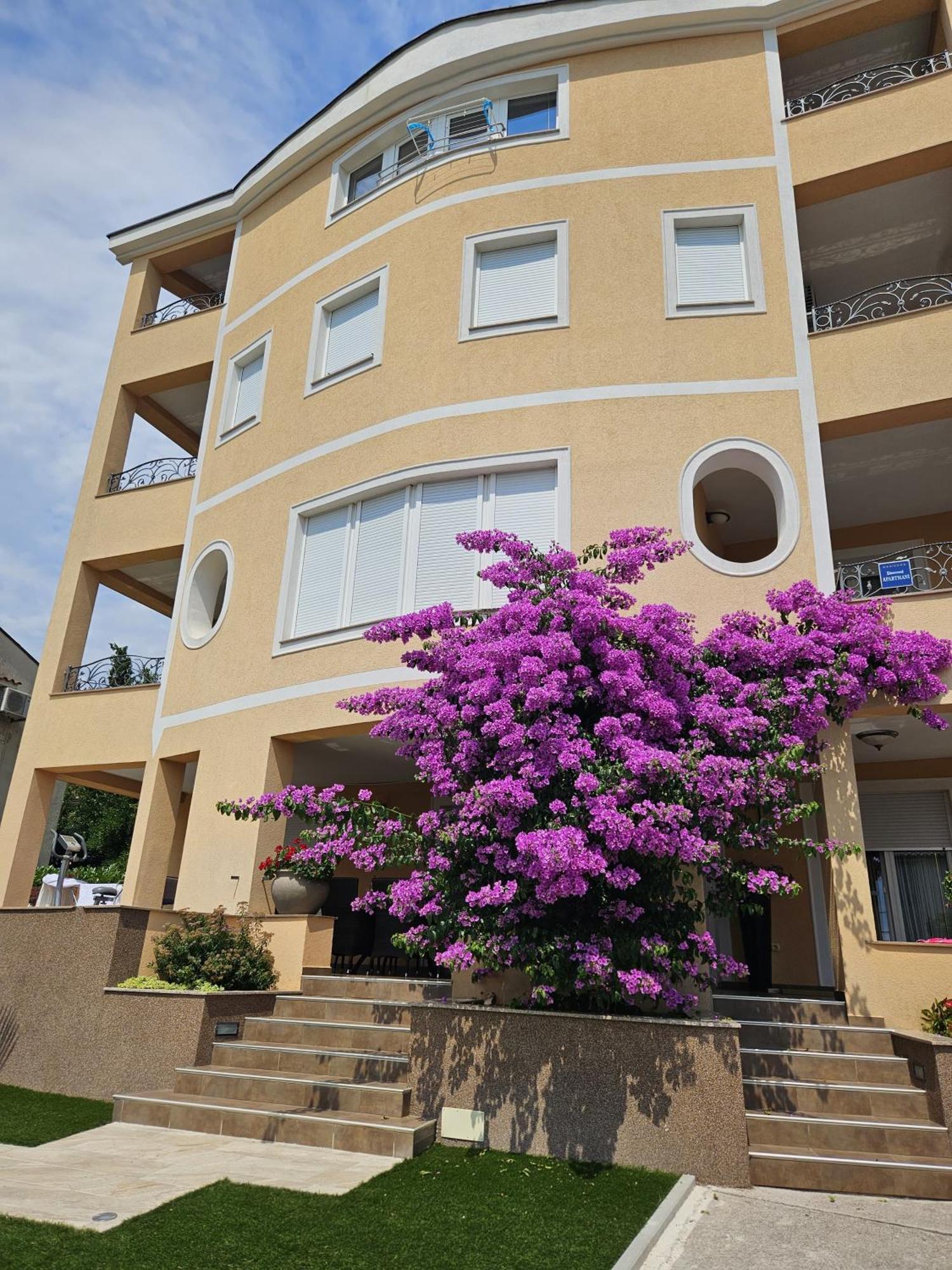 סלצה Residence Gordana מראה חיצוני תמונה